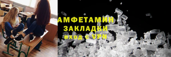 ПСИЛОЦИБИНОВЫЕ ГРИБЫ Ельня