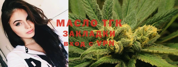 ПСИЛОЦИБИНОВЫЕ ГРИБЫ Ельня
