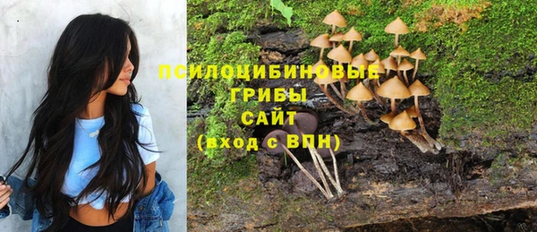 наркотики Заводоуковск