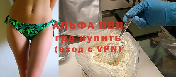 ПСИЛОЦИБИНОВЫЕ ГРИБЫ Ельня