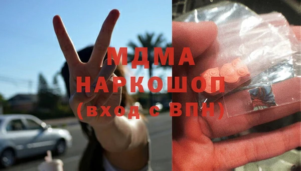 ПСИЛОЦИБИНОВЫЕ ГРИБЫ Ельня