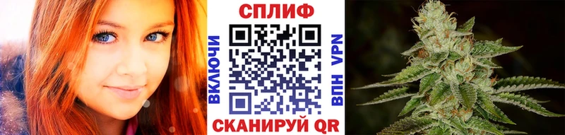 Купить  Пятигорск  Каннабис OG Kush 